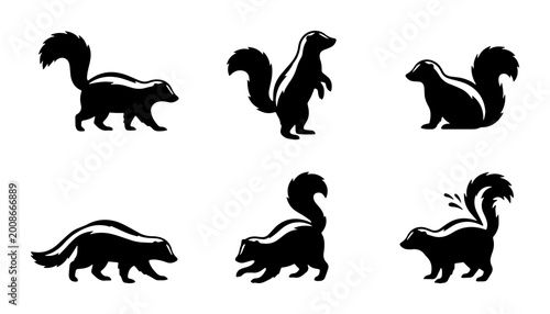 Tableau sur toile vector set of skunk icons in various poses and expressions