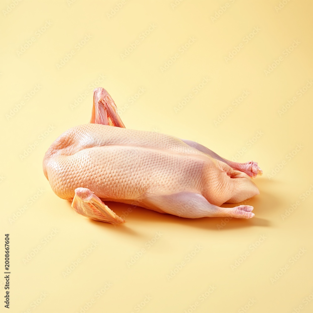 Naklejka premium Fresh raw goose on a plain yellow background