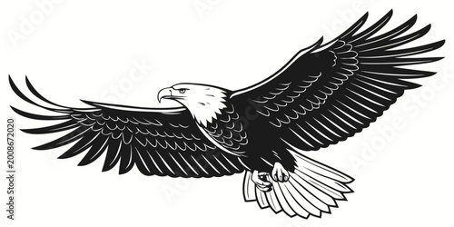 Schilderij op canvas Flying bald eagle with wings outstretched isolated vector graphic predator wildl