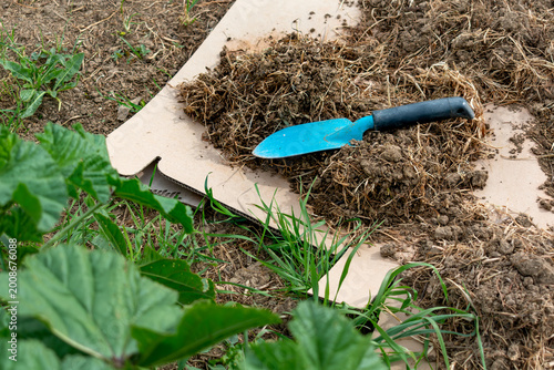 Photos Cardboard in the garden and in permaculture, it provides nutrients and carbon, a