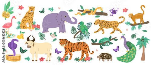 Photography Set of India animals