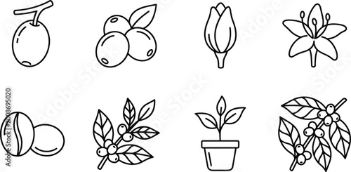 Konstfotografi coffee plant elements set, beans leaves branch flower icons in outline vector st