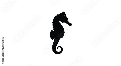 Bild auf Leinwand Seahorse silhouette against a white background high quality