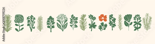Foto Flat green herb and flower silhouette collection with rosemary, artichoke and cl