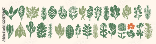 Woodcut textured green herb and leaf collection with grunge ink print effect — rustic botanical set for vintage eco packaging, kitchen menu or cottagecore design