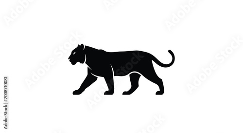 Photography Black panther walking silhouette high quality professional detailed