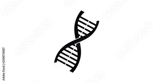 Vászonkép Dna double helix structure black silhouette high quality