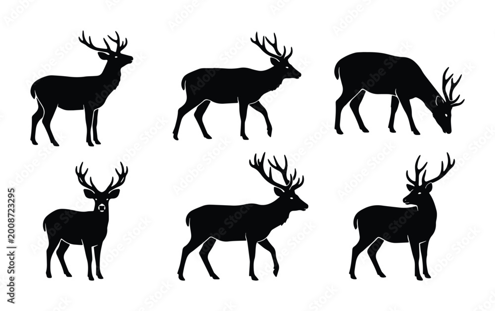 Fototapeta premium Deer in various poses as vector icons on white background