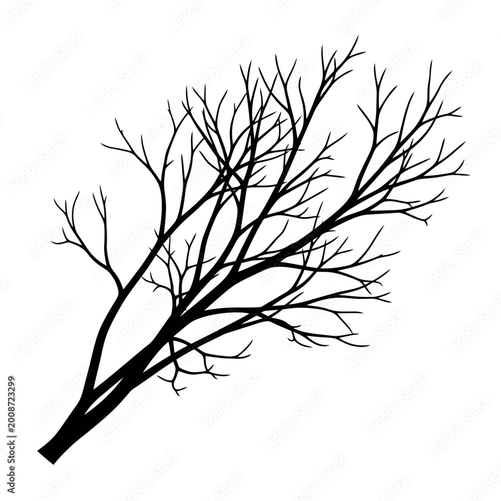 Fototapeta premium Minimalist Black and White Illustration of a Leafless Tree with Branches Spreading Out in Various Directions for Artistic Nature