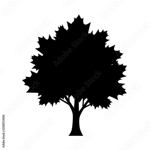 Silhouette of a majestic natural tree with dense foliage and sturdy trunk captured in stark black and white imagery emphasizing