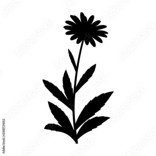 Minimalist black and white illustration of a single daisy flower with detailed petals and elongated leaves on a plain background