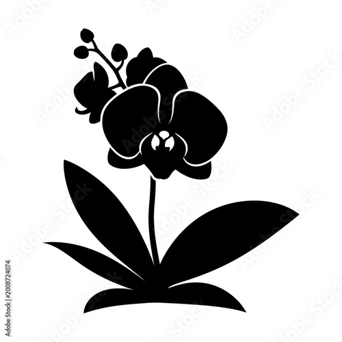 Minimalist black silhouette of a blooming flower with detailed leaves and an elegant stem