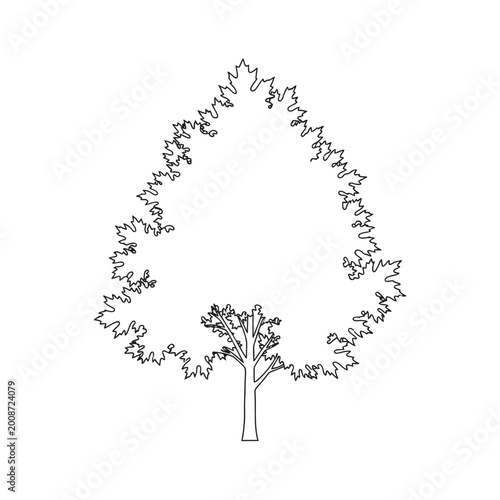 Minimalist Illustration of a Tree with Detailed Branching and Sparse Foliage for Nature and Botanical Design Use