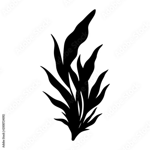 Minimalistic black silhouette of a leafy plant with elongated leaves on a white background for modern botanical design