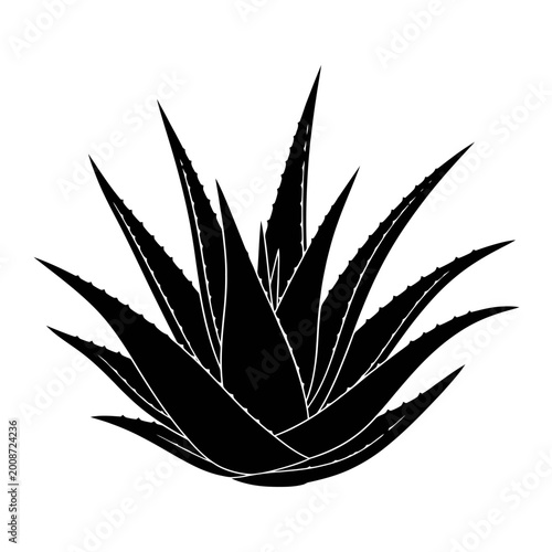 Minimalist black silhouette of a spiky succulent plant highlighting intricate leaf structures emphasizing botanical design