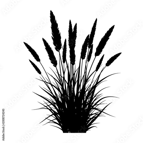 Silhouette of tall grasses and floral plants against a stark white background emphasizing natural shapes and organic patterns
