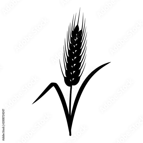 Minimalist black silhouette of a wheat plant with detailed grains and a curved leaf for agricultural or nature-inspired design