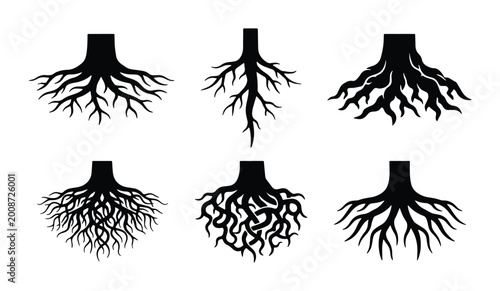tree roots in various styles vector set on white background