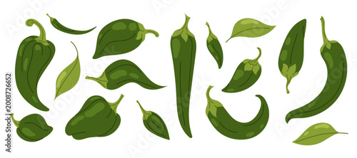 Hand drawn green hot chili peppers and jalapeno set with leaves, organic spicy vegetable collection for culinary menu and food packaging.