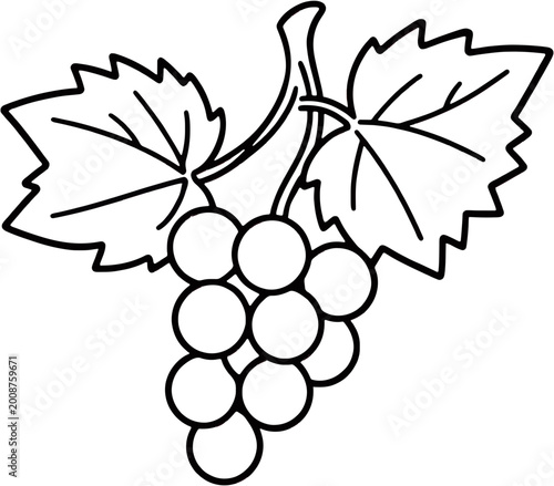 Grapes Cluster Line Icon Vector Illustration for Food Concept