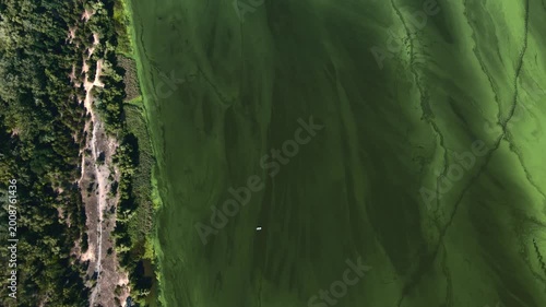 A stunning aerial view of vibrant green islands surrounded by clear blue waterways, showcasing natures beauty