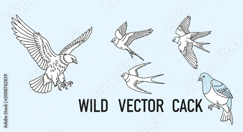 Bild auf Leinwand Vector illustration of flying cack birds.