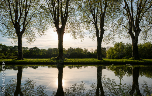 Photography Rhône-Rhine Canal with plane tree reflections, in Illkirch-Graffenstaden, France