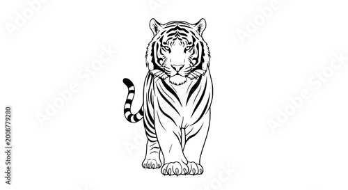 Canvas Print Tiger illustration, front view, black and white, vector art