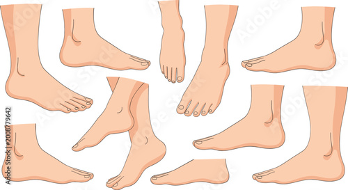 Photos Human feet anatomy set with different angles views, detailed foot structure and