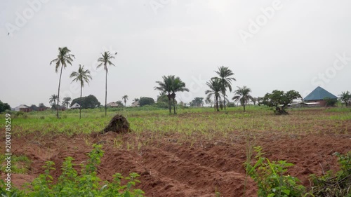 Wide shot of freshly plowed fields at a tropical farming center