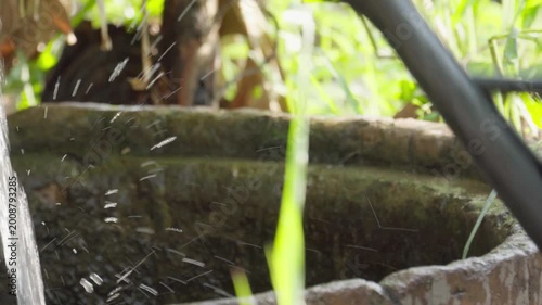 Fresh water flowing into a stone basin at a farm