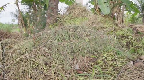 Pile of biomass and plant residues on an organic farm