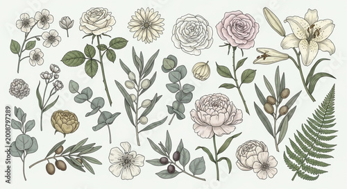 Foto Vintage Botanical Illustrations of Various Flowers and Leaves.
