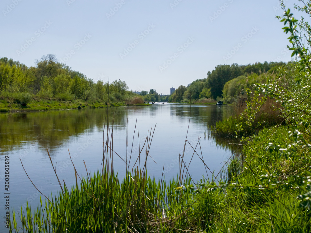 Obraz premium Scenic landscape of the Warta river in Poznan, green banks and blue sky in summer, Poland.