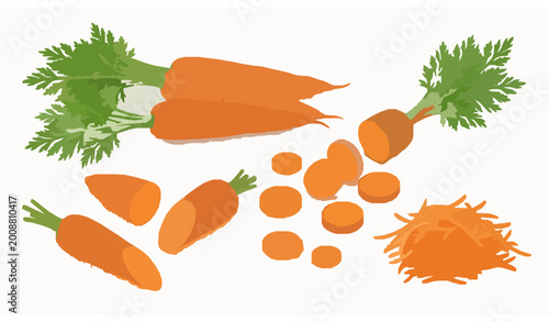Foto Vector Illustration of Fresh Carrots with Sliced Pieces, Shredded Carrot, and Gr