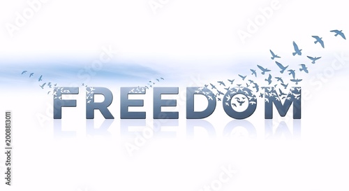 Freedom depicted by word and birds flying
