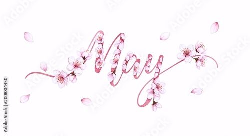 Beautiful May floral lettering with falling cherry blossoms
