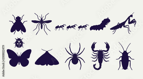 фотографія Diverse insect and arachnid silhouettes: fly, mosquito, ant, spider, butterfly