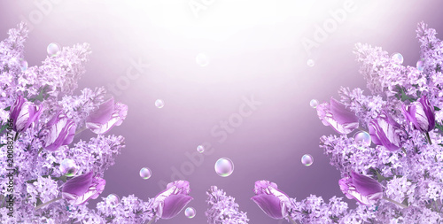 Lilac and tulips floral background with white bubbles and copy space