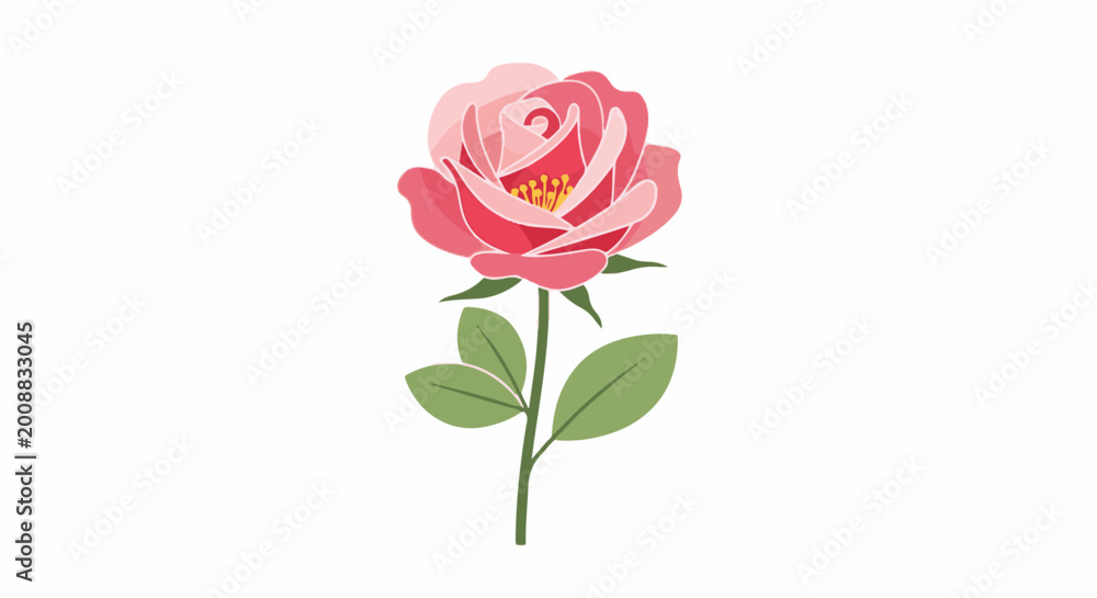 Fototapeta premium A pink rose with green leaves and a stem, isolated on a white background