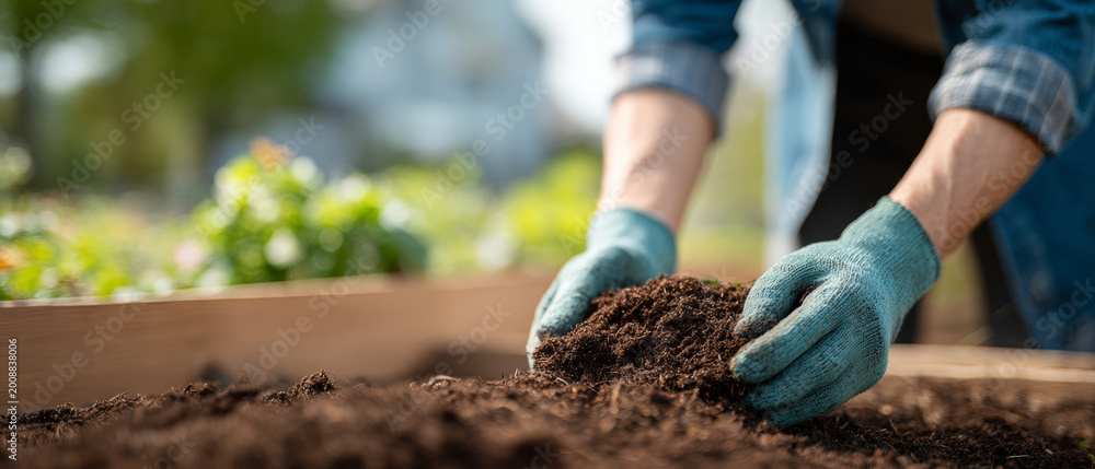 Obraz premium Person preparing soil in garden bed