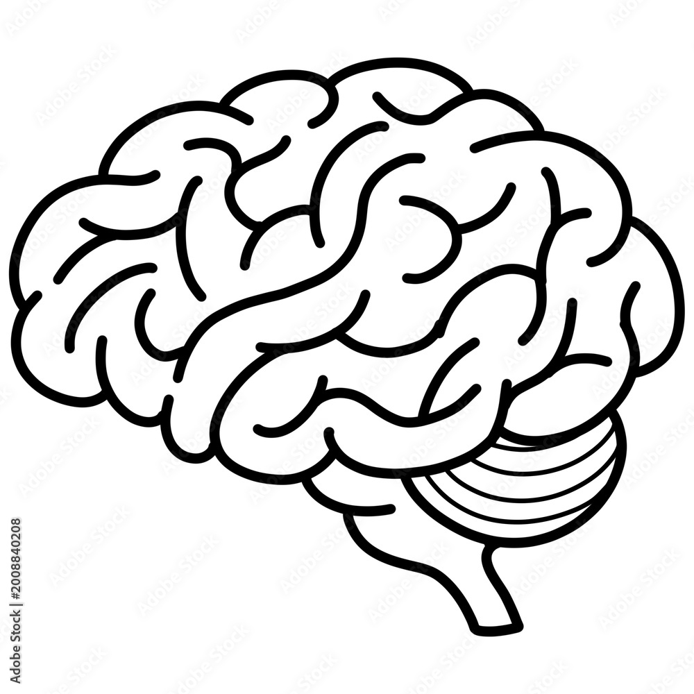 Obraz premium cartoon illustration outline of the human brain 