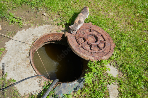 sewer pit and cat, cat looking into open septic tank, pumping out septic tank