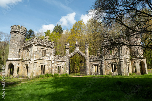 Fotografie Abandoned gothic castle gatehouse stands amidst vibrant Irish forest, echoing forgotten grandeur and heritage, inviting cultural exploration and travel discovery