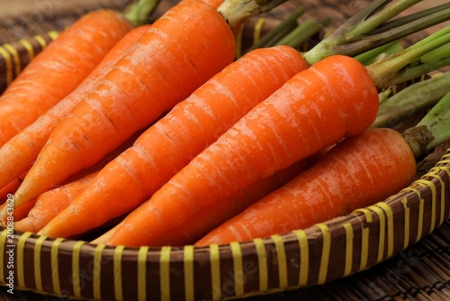 Fotografie Carrots are biennial plants in the umbellifer family, Apiaceae