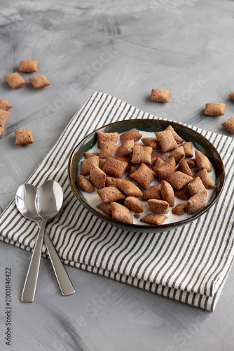 Healthy Pillow-Shaped Breakfast Cereal with Milk in a Bowl, side view.