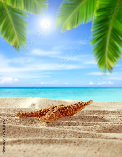 Starfish on a sunny tropical beach with golden sand, blue ocean and palm leaves in the background, generative AI