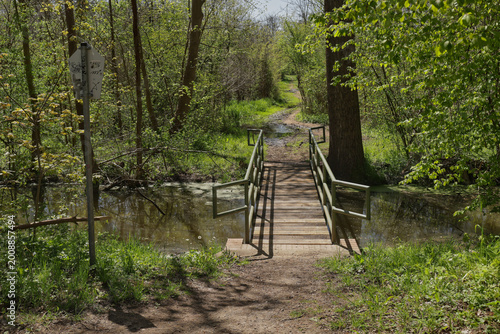 Schmale Brücke auf einem Reitweg durch den grünen Auwald im Frühling mit Blick in die dichte Waldlandschaft, Leipzig, Landkreis Leipzig, Sachsen, Deutschland