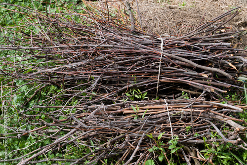Bundle of dry branches and twigs stacked outdoors