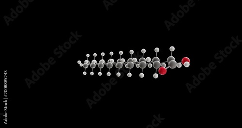 Stearic acid molecule, rotating 3D model of octadecanoic acid, looped video on a black background
